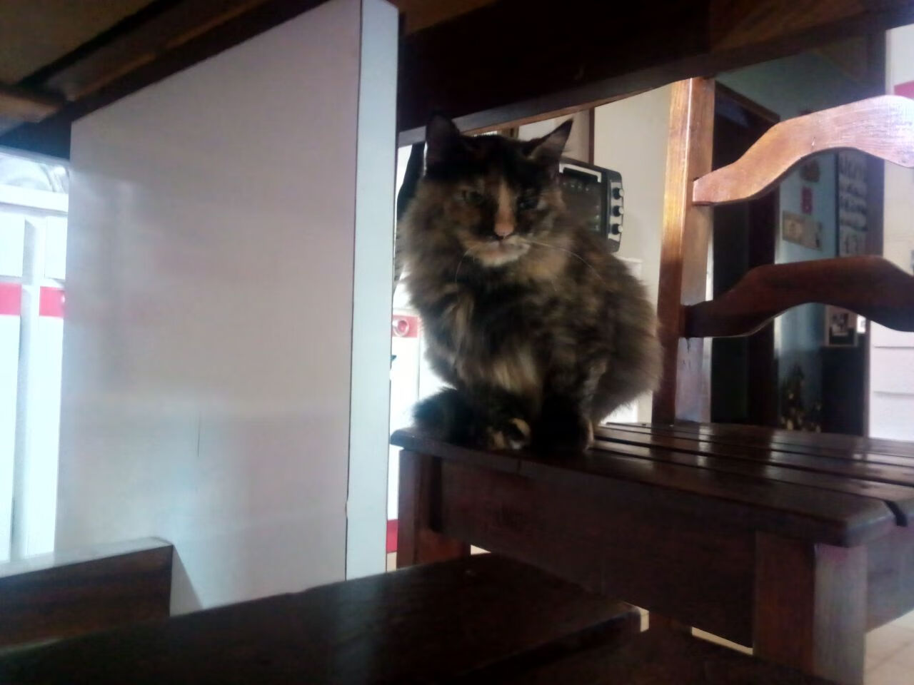 【自动判罚的未来】科技怎样帮助裁判做出更准确的决定？，自动制裁是什么意思