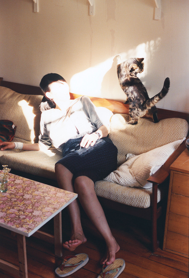 哥伦比亚马术协会开展马匹福利宣传活动,提升公众意识。,哥伦比亚马戏团电影完整版在线观看