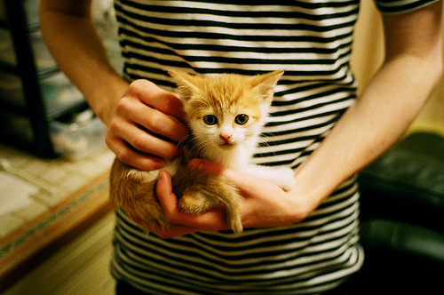 失误成败!上海队关键时刻连续失误,错失反超良机,上海队夺冠阵容