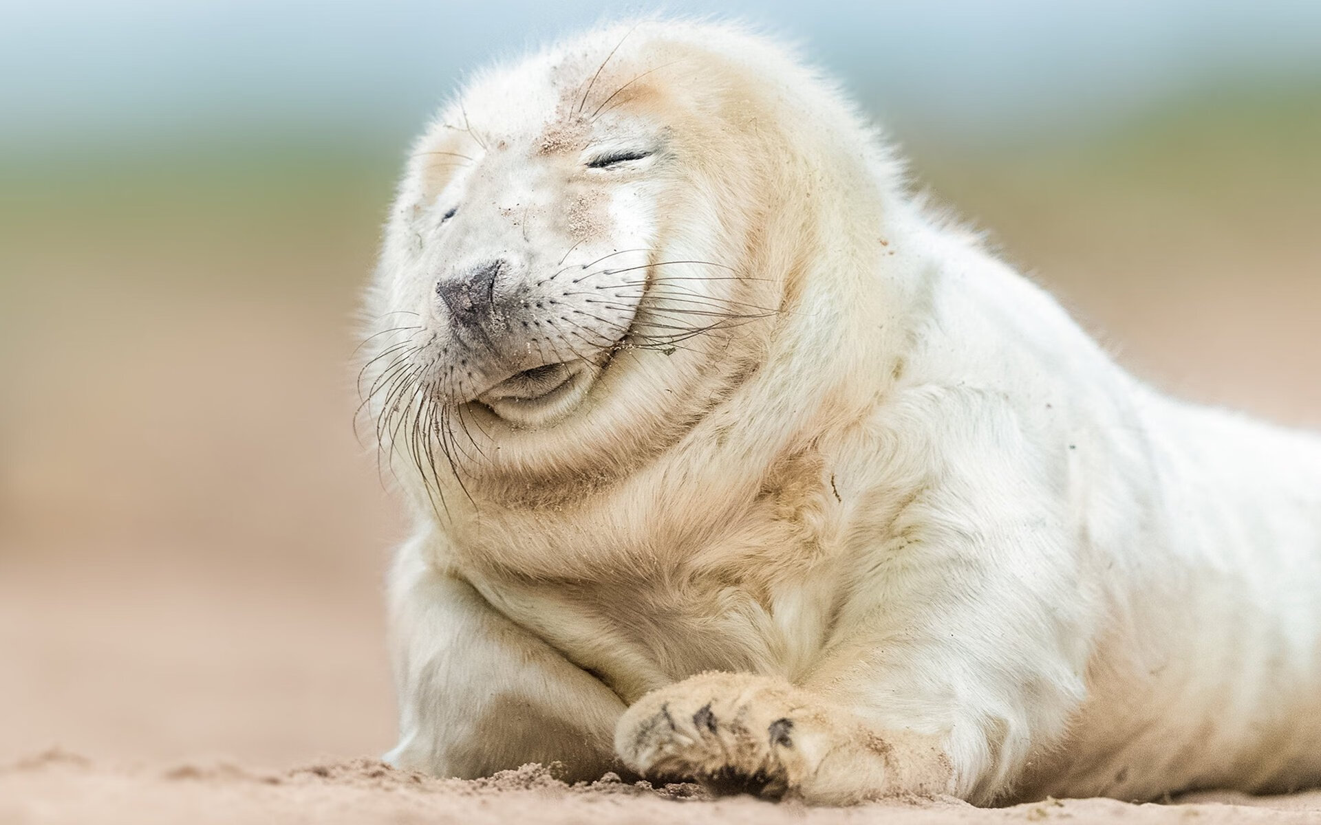 德甲：奥格斯堡1-3败给门兴，场面激烈，精彩纷呈，奥格斯堡对门兴比分预测