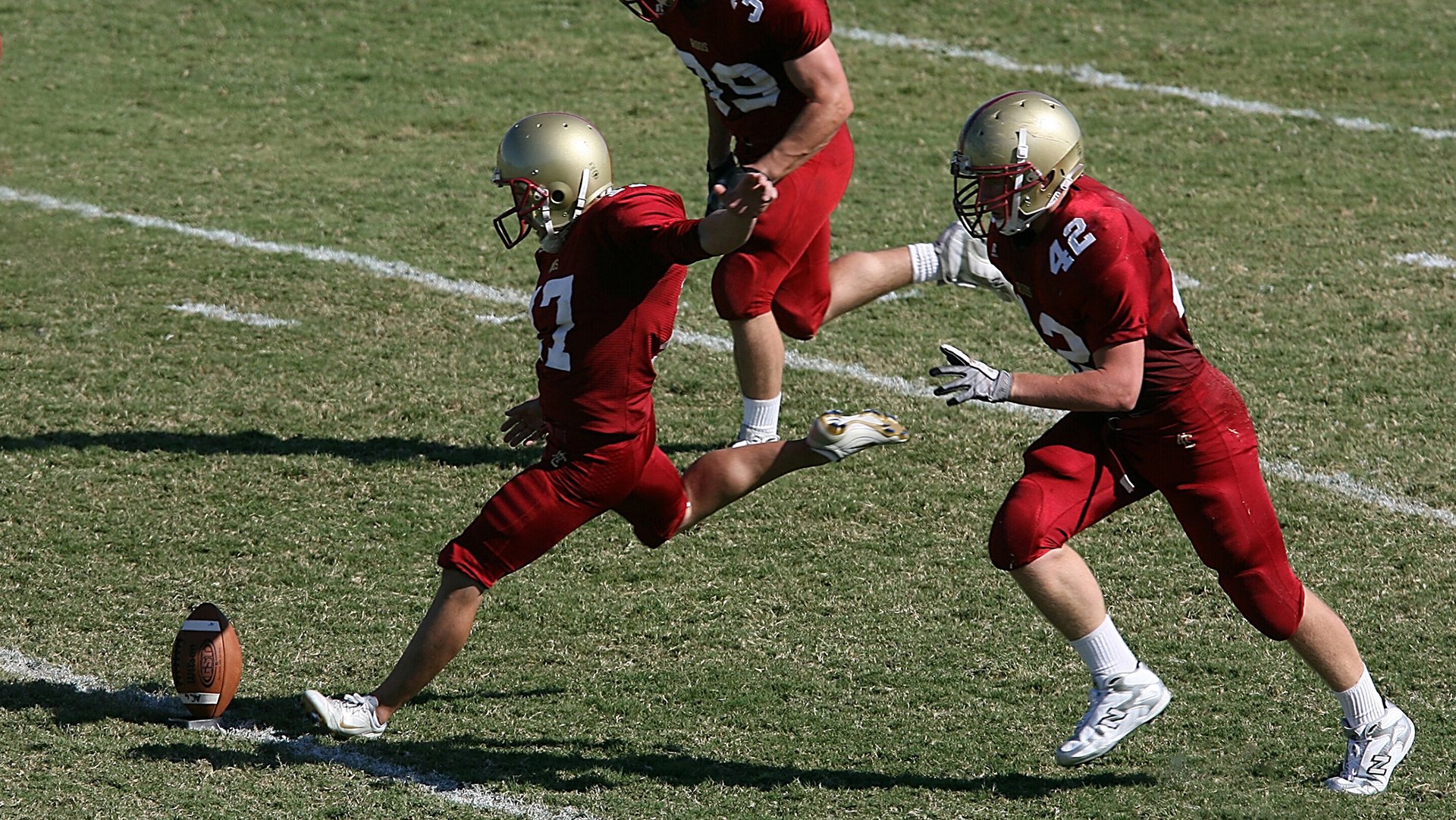 游泳技术动作与国际标准同步，游泳动作专业术语